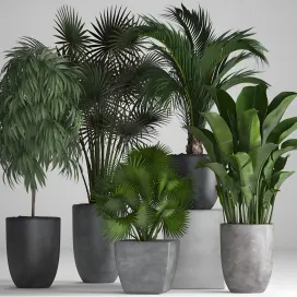 Plant collection